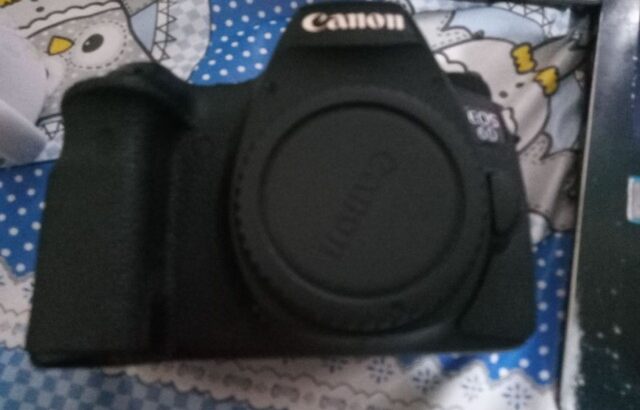 Canon 6D Mark