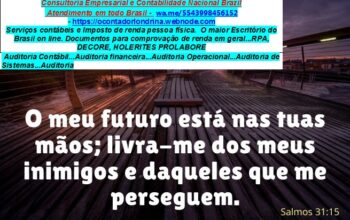 Regulariza MEI atrasado – Parcelar débito do MEI online Faça já