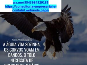 Serviços Gerais de Consultoria, Contabilidade e Imposto de Renda