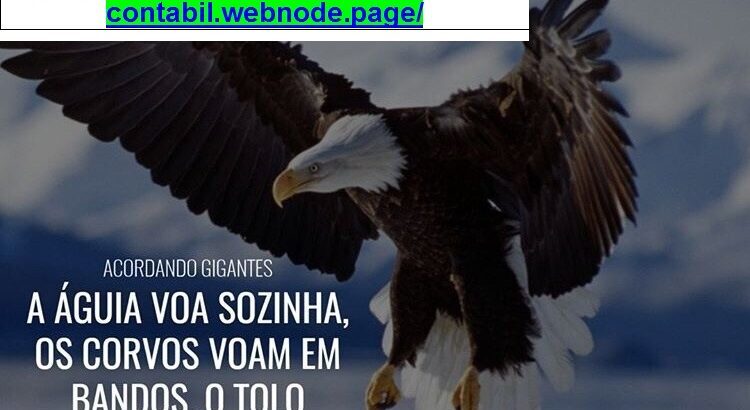 Renova Consulting Gestão em Orçamento Base zero – Resultados