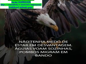 Brasil–Consultoria,Assessoria Auditoria,Empresarial e Contábil