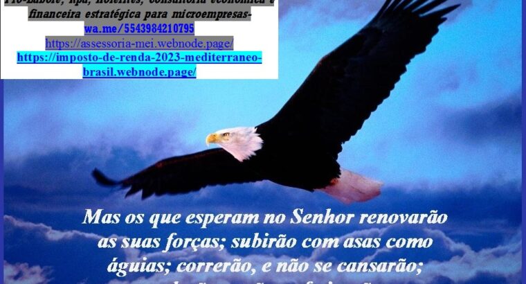 Tecnologia Contábil Guarapuava-Alteração de Dados da MEI