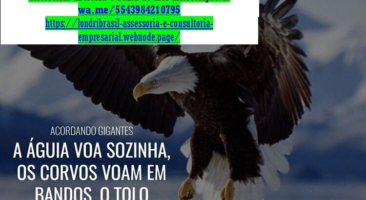 Brasil–Consultoria,Assessoria Auditoria,Empresarial e Contábil