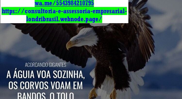 Serviços de Contador, Assessoria Empresarial e Microempresas