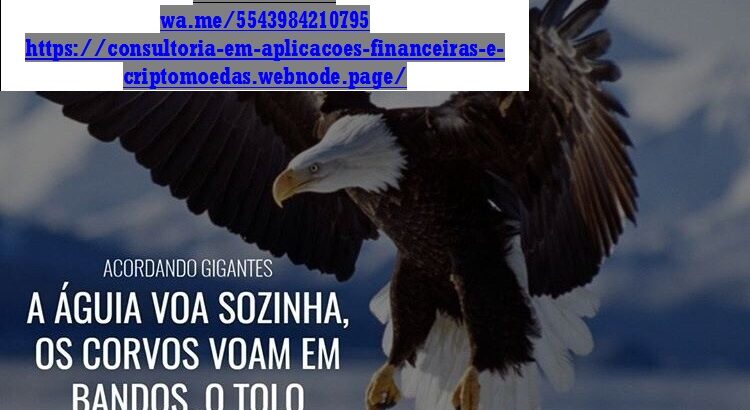 Consultoria Contábil Contador Online – Pague uma taxa mensal