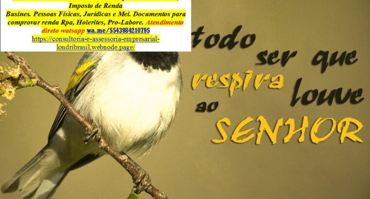 Consultoria em Aplicações Financeiras Opções Binárias Serviços Contábeis–Abertura Encerramento Mei-Consultoria Geral-Consultoria Microempresas Consultoria e Assessoria em Imposto de Renda – Irpf-Consultora Financeira/Fiscal Microempresas MEI Consultoria econômica e financeira estratégica para microempresas-imposto de renda 2023/2024-assessoria. abertura e baixa de mei-microempresas atendimento todo brasil todo dia wa.me/5543984210795 https://londribrasil-assessoria-e-consultoria-empresarial.webnode.page/