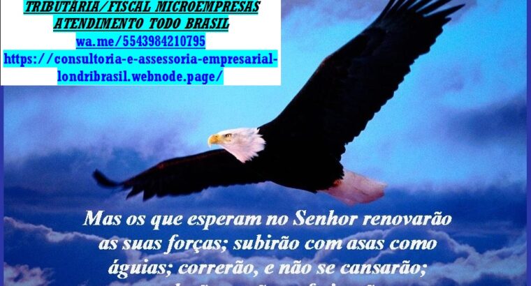 Jd Caravelle/Boa vista–Assessoria Empresarial,Financeira,Contábil/RH