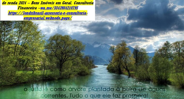 Londrina – Professor Imposto de Renda Brasil Busines Consultoria