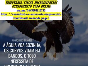 Divulgador de Lojas, Empresas e Micro Empresas, Podutos, Serviços