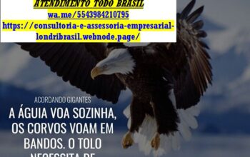 Divulgador de Lojas, Empresas e Micro Empresas, Podutos, Serviços