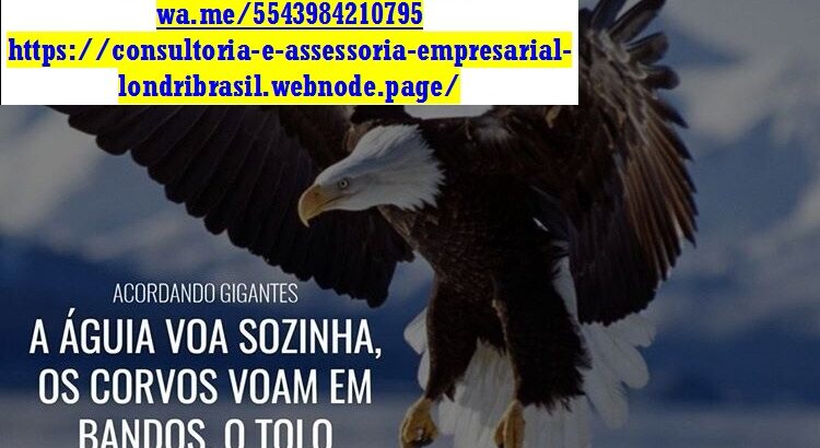 Divulgador de Lojas, Empresas e Micro Empresas, Podutos, Serviços